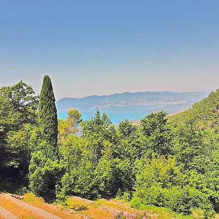 Casa Ginestra 別荘